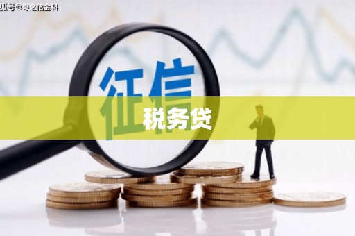 隆昌税务贷