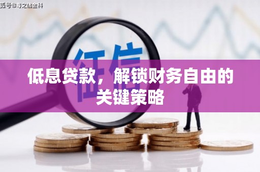 隆昌低息贷款，解锁财务自由的关键策略