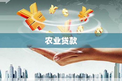 隆昌农业贷款