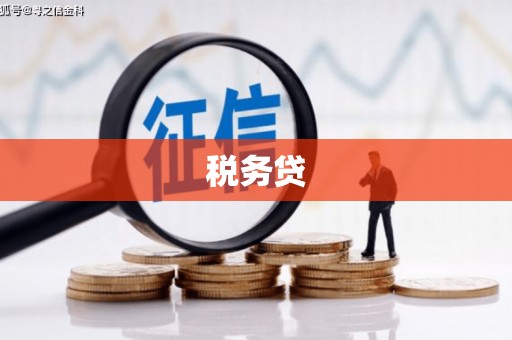 隆昌税务贷