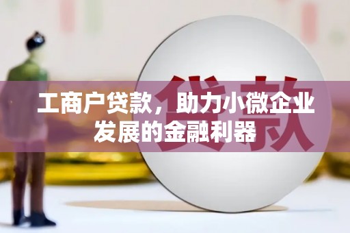 隆昌工商户贷款，助力小微企业发展的金融利器