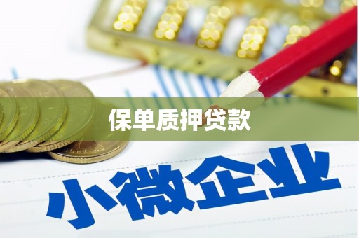隆昌保单质押贷款