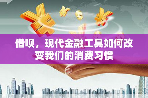 隆昌借呗，现代金融工具如何改变我们的消费习惯