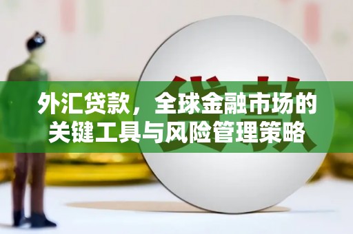 隆昌外汇贷款，全球金融市场的关键工具与风险管理策略