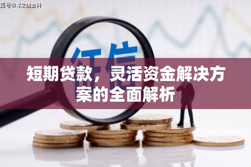 隆昌短期贷款，灵活资金解决方案的全面解析