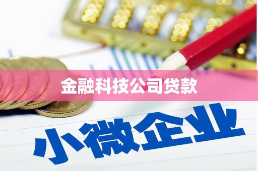 隆昌金融科技公司贷款