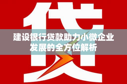 隆昌建设银行贷款助力小微企业发展的全方位解析