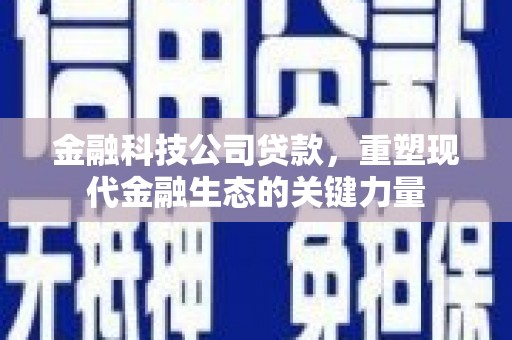 隆昌金融科技公司贷款，重塑现代金融生态的关键力量