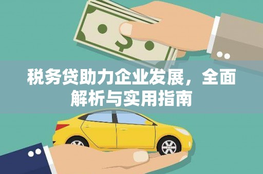 隆昌税务贷助力企业发展，全面解析与实用指南