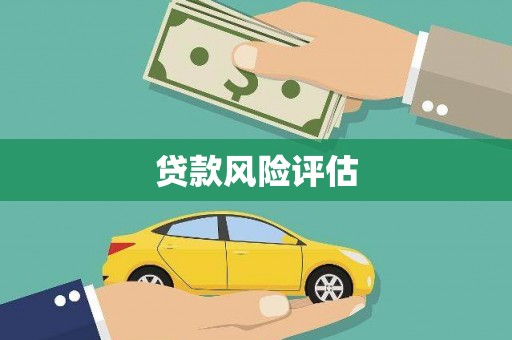 隆昌贷款风险评估