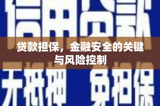 隆昌贷款担保，金融安全的关键与风险控制