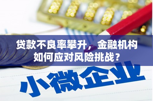 隆昌贷款不良率攀升，金融机构如何应对风险挑战？