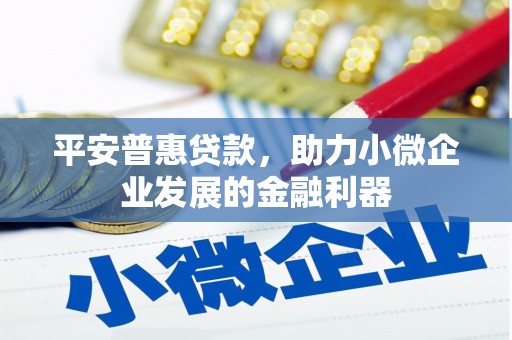 隆昌平安普惠贷款，助力小微企业发展的金融利器
