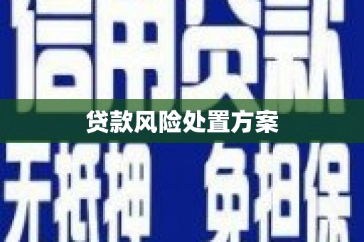 隆昌贷款风险处置方案