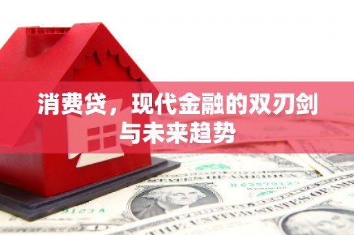 隆昌消费贷，现代金融的双刃剑与未来趋势