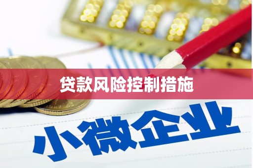 隆昌贷款风险控制措施