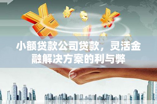 隆昌小额贷款公司贷款，灵活金融解决方案的利与弊