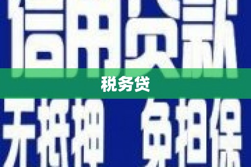 隆昌税务贷
